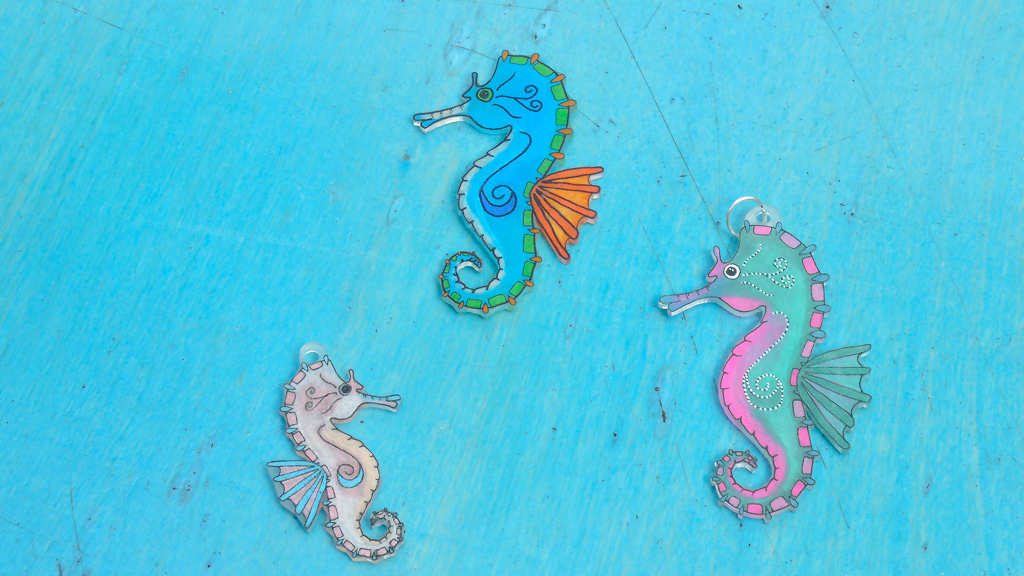 Wypiekanki morskie - obrazek 4