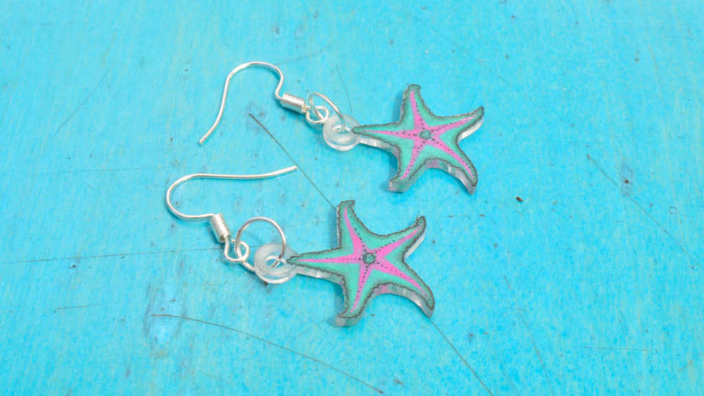 Wypiekanki morskie - obrazek 6